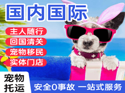 赛乌素机场货运国际宠物托运 【国